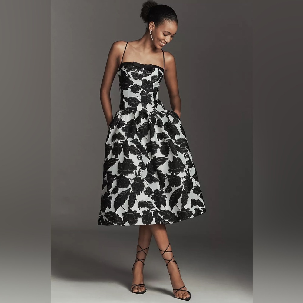 NWT! Anthropologie Maeve Drop-Waist Jacquard Midi Dress - Size Smallโฐ